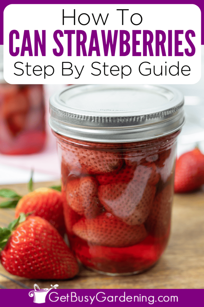 How To Can Strawberries Step By Step Guide