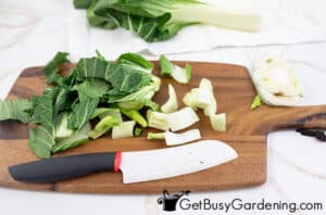 Freezing Bok Choy: The Complete How To Guide