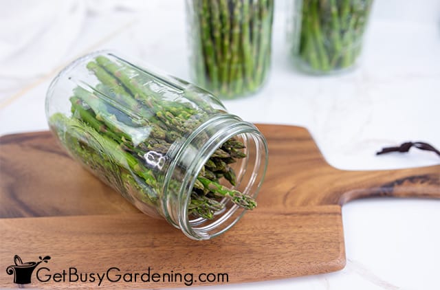 Filling canning jars with asparagus