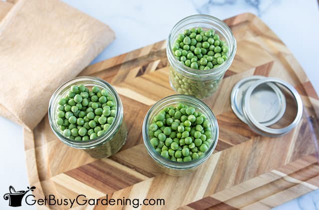 Filling canning jars with peas