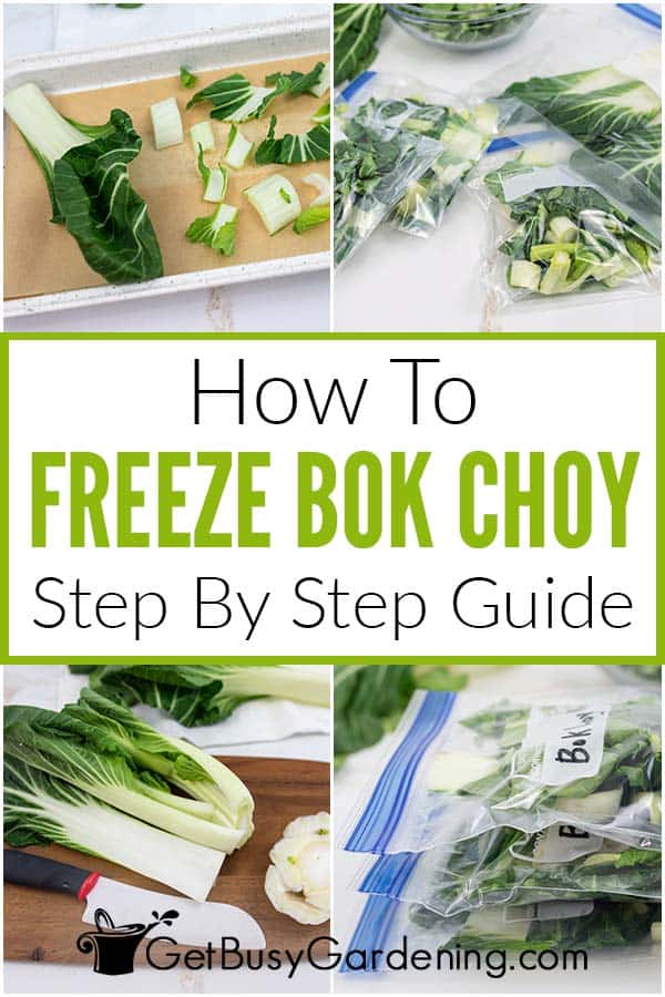 How To Freeze Bok Choy Step By Step Guide