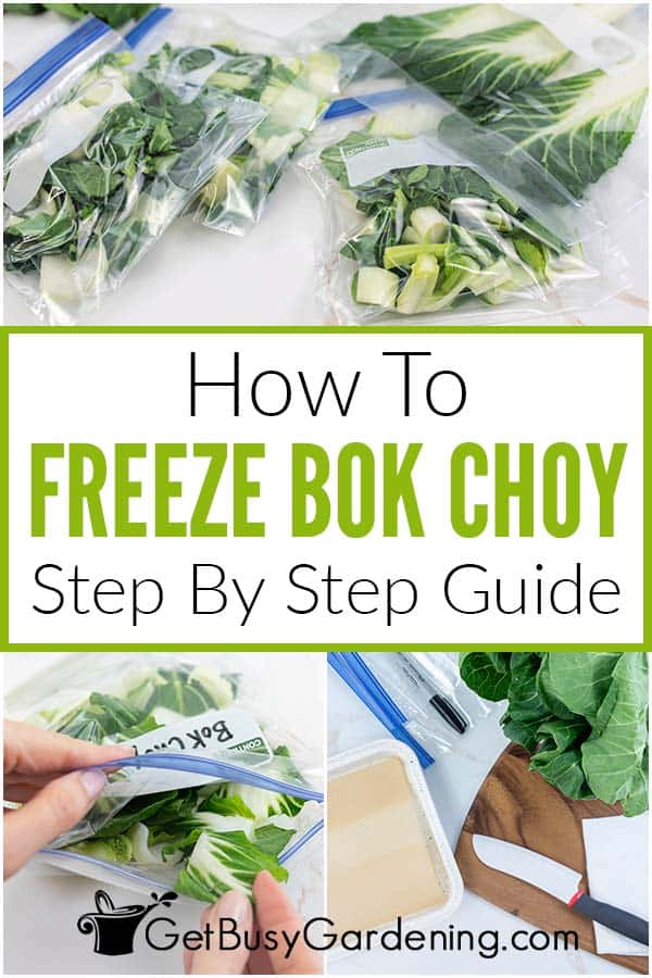 How To Freeze Bok Choy Step By Step Guide