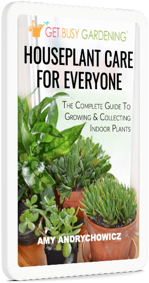 Houseplant Care For Everyone eBook tablet cover image