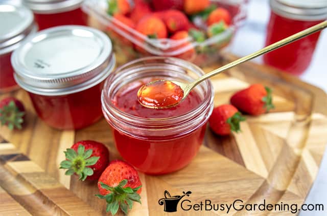 Jars of strawberry jelly ready to enjoy