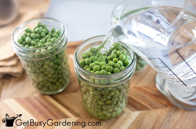 Pouring canning watering into jars of peas
