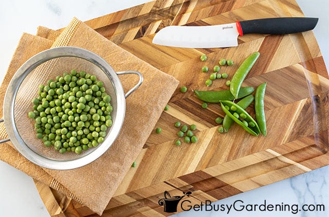 Preparing to can fresh peas