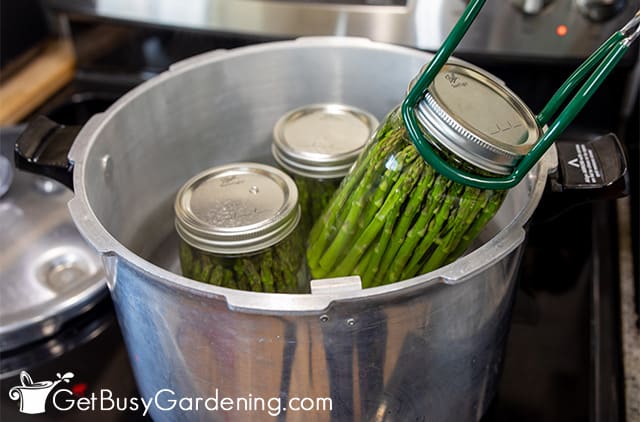 Putting a jar of asparagus into the canner