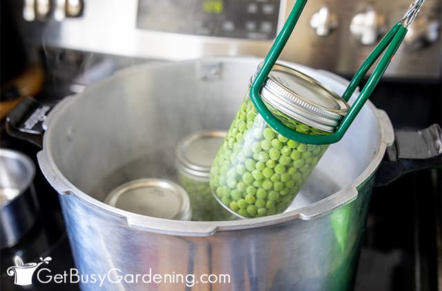 Putting a jar of peas into the canner