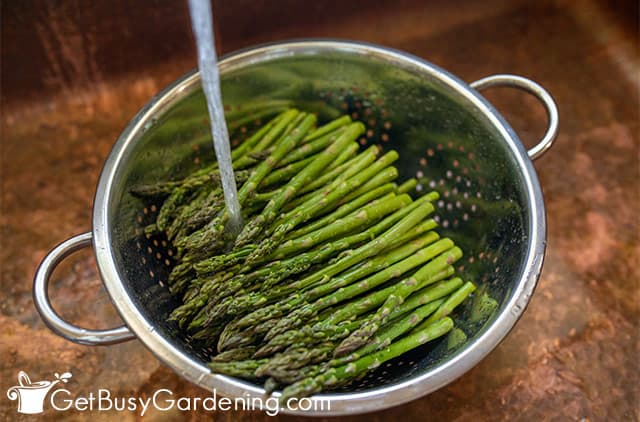 Rinsing asparagus for canning
