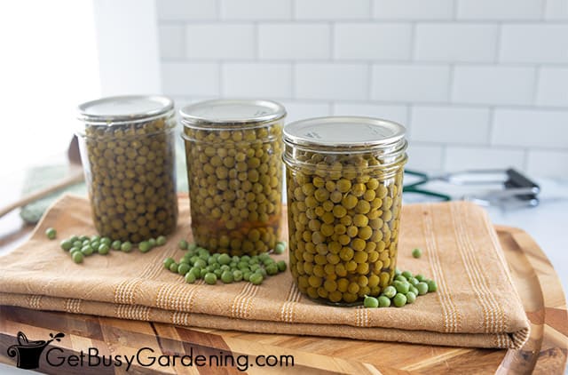 Sealed canned peas ready for storage