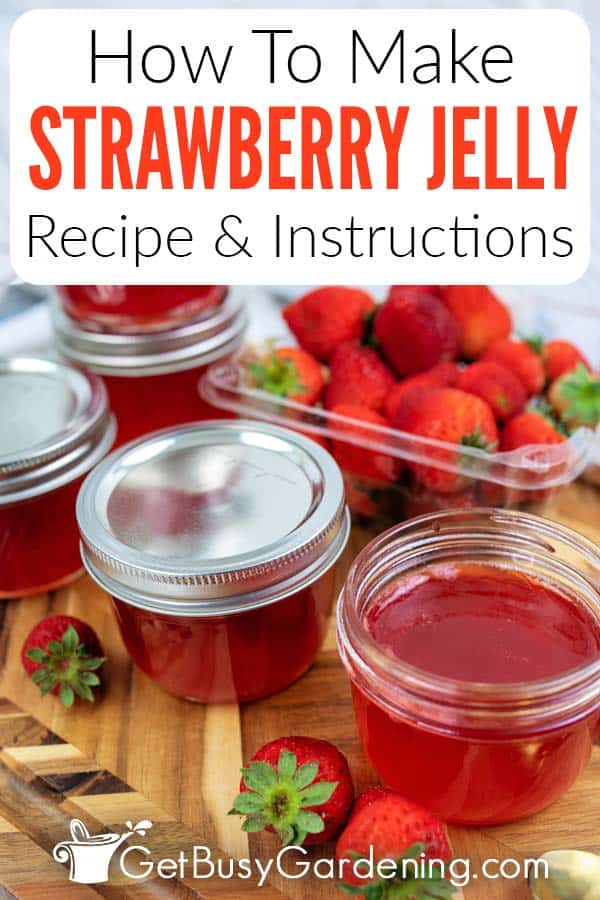 How To Make Strawberry Jelly Recipe & Instructions