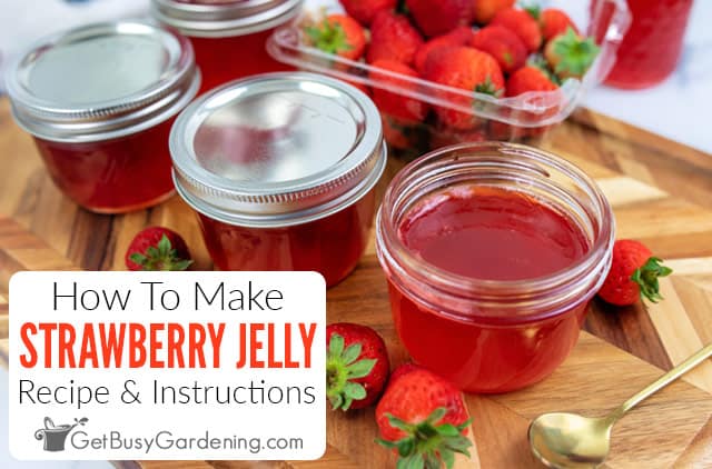How To Make Strawberry Jelly: Easy Recipe