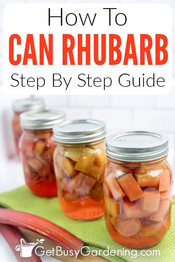 How To Can Rhubarb Step By Step Guide