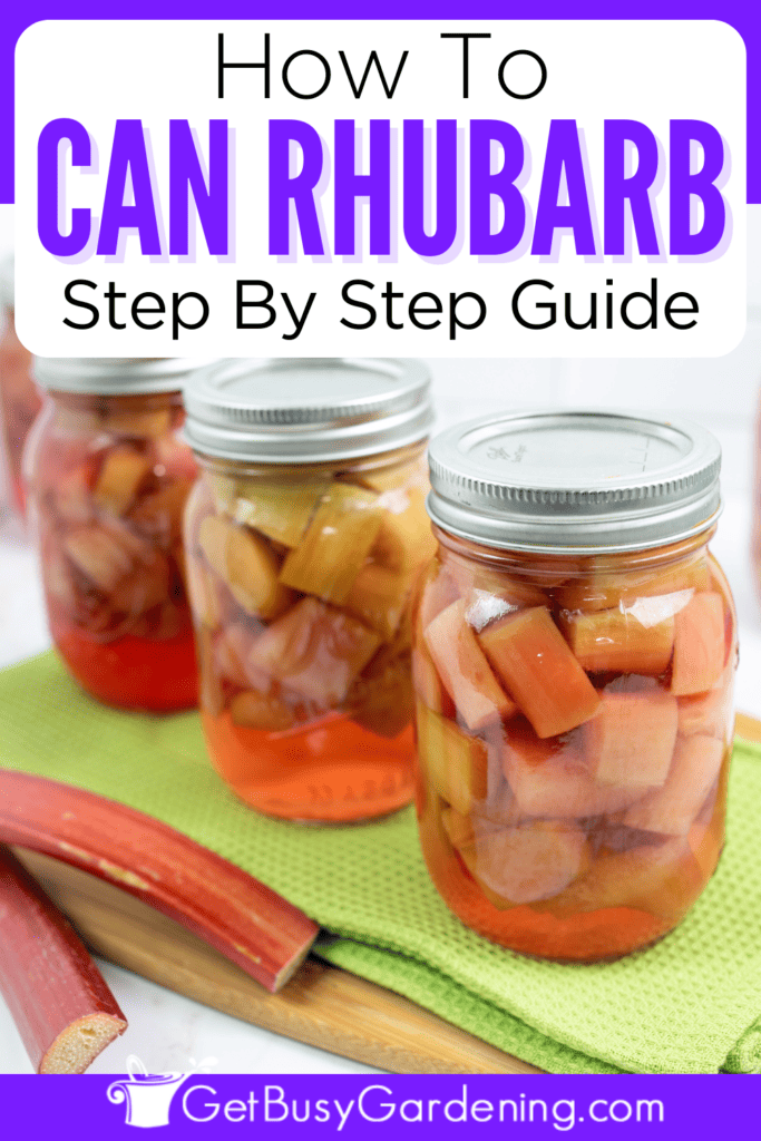 How To Can Rhubarb Step By Step Guide