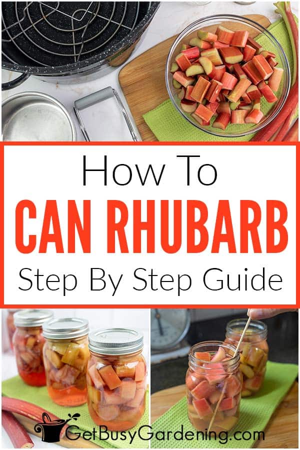 How To Can Rhubarb Step By Step Guide