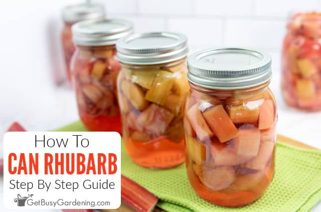 How To Can Rhubarb At Home