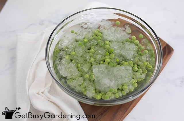 Cooling blanched peas before freezing