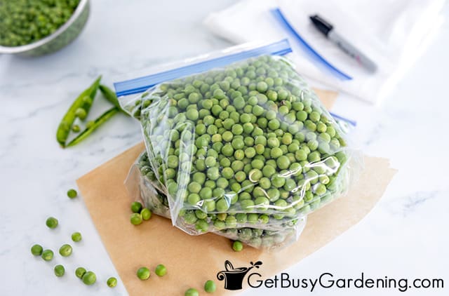 Freezer bags filled with shelled peas