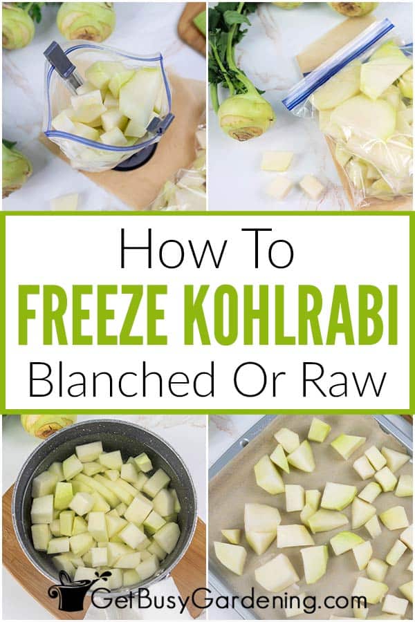 How To Freeze Kohlrabi Blanched Or Raw