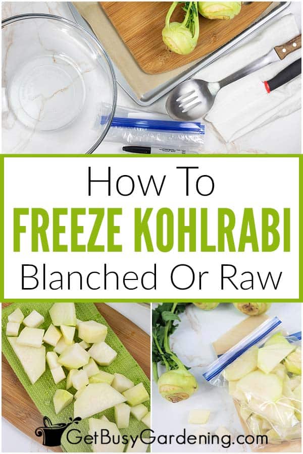 How To Freeze Kohlrabi Blanched Or Raw