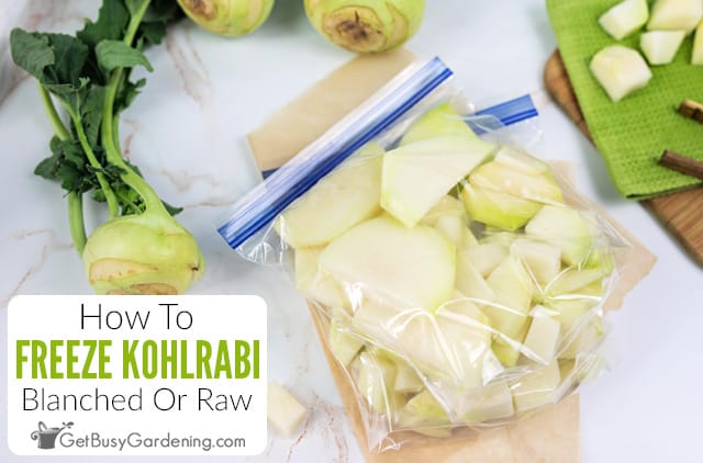 How To Freeze Kohlrabi (With Or Without Blanching)