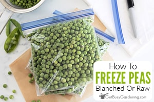 How To Freeze Peas The Right Way