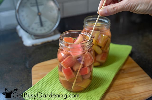 Popping air bubbles in a jar of rhubarb