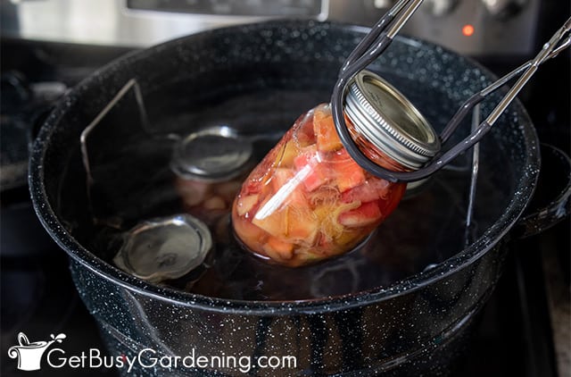 Putting a jar of rhubarb into the canner