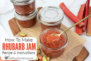 How To Make Rhubarb Jam: Easy Recipe