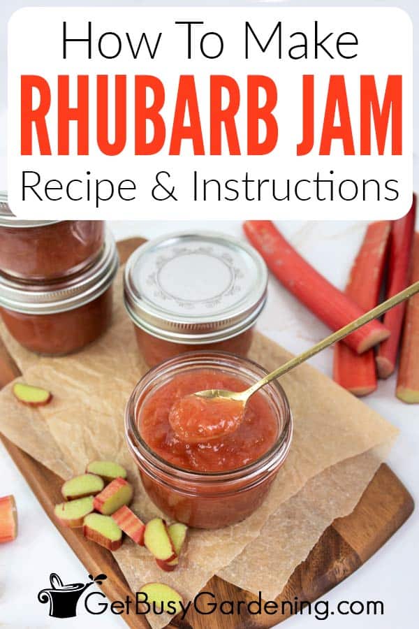 How To Make Rhubarb Jam Recipe & Instructions