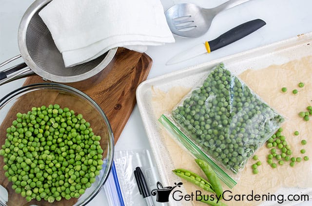 Supplies needed for freezing peas
