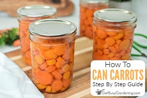 Canning Carrots - The Complete How To Guide