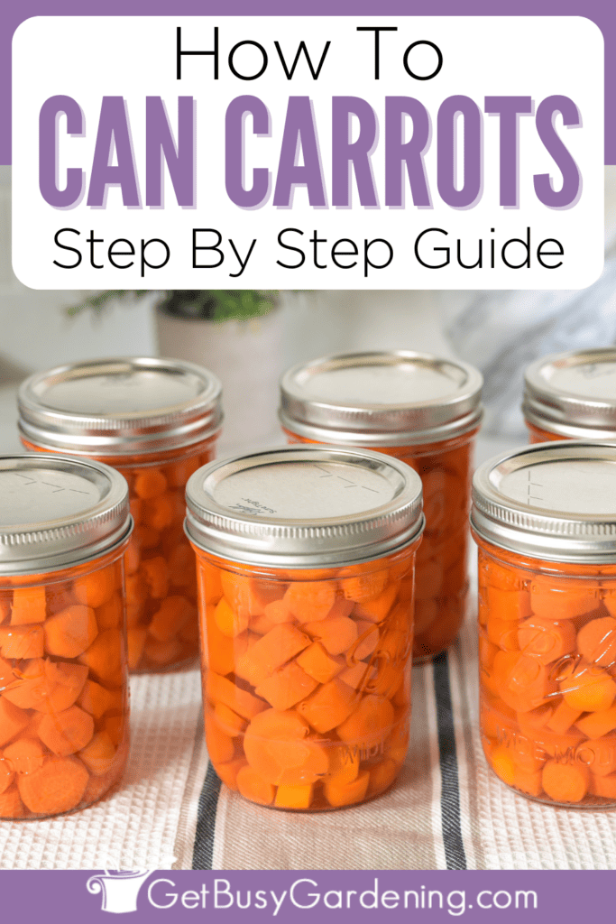 How To Can Carrots Step By Step Guide