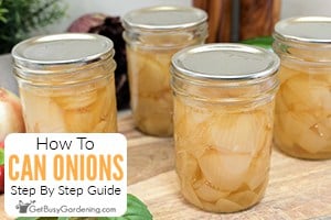 How To Can Onions