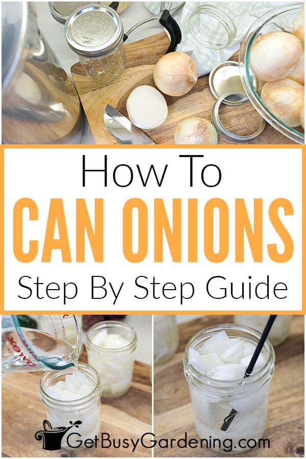 How To Can Onions Step By Step Guide