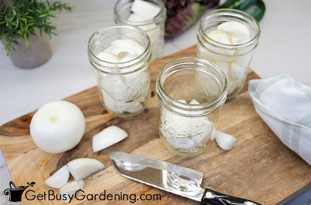 Filling jars with cut up onion chunks