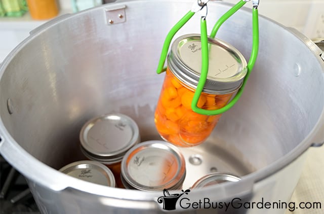 Filling pressure canner with jars of carrots