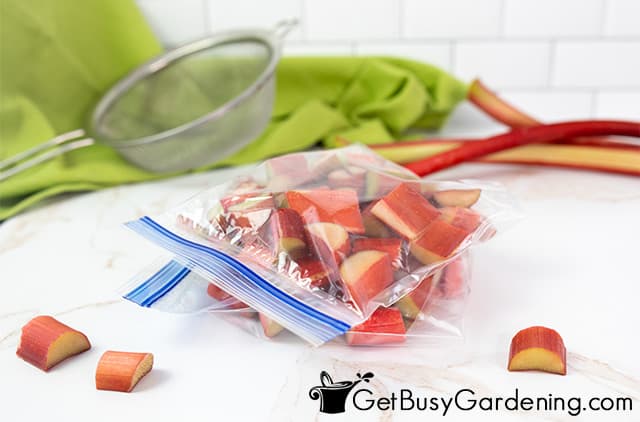 Freezer bags filled with rhubarb pieces