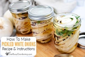 The Best Pickled White Onions Recipe