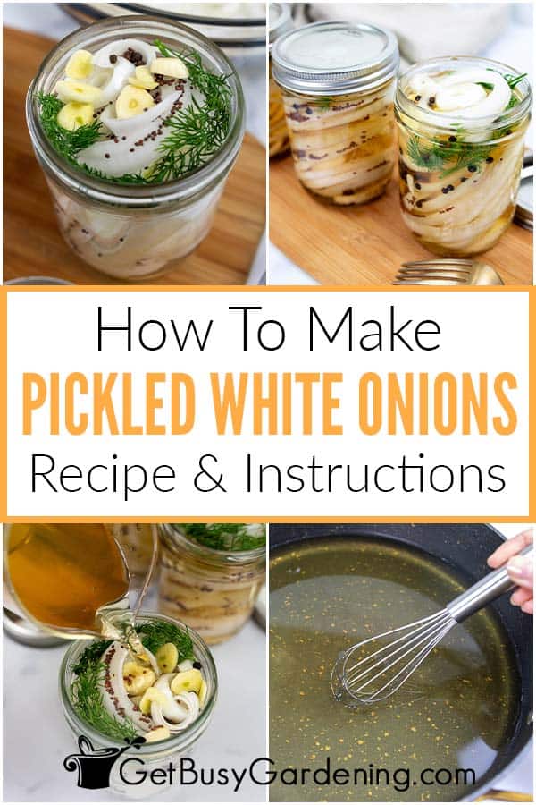 How To Make Pickled White Onions Recipe & Instructions