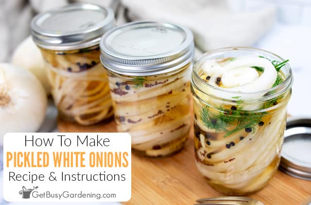 The Best Pickled White Onions Recipe