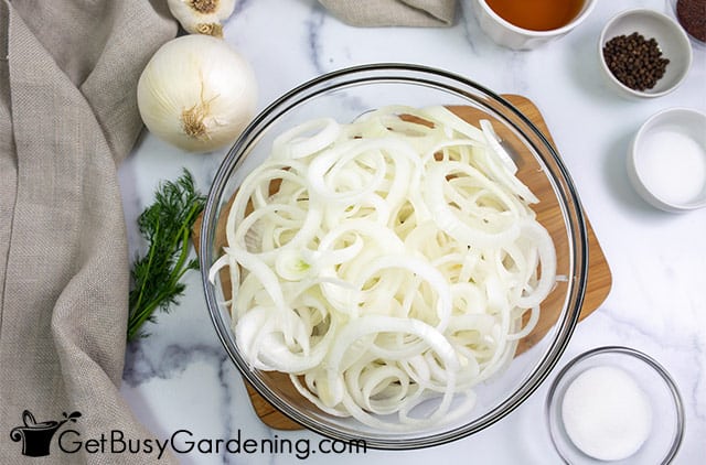 Preparing to pickle fresh white onions