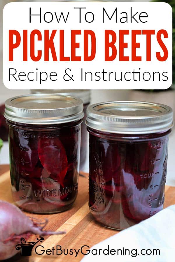 How To Make Pickled Beets Recipe & Instructions