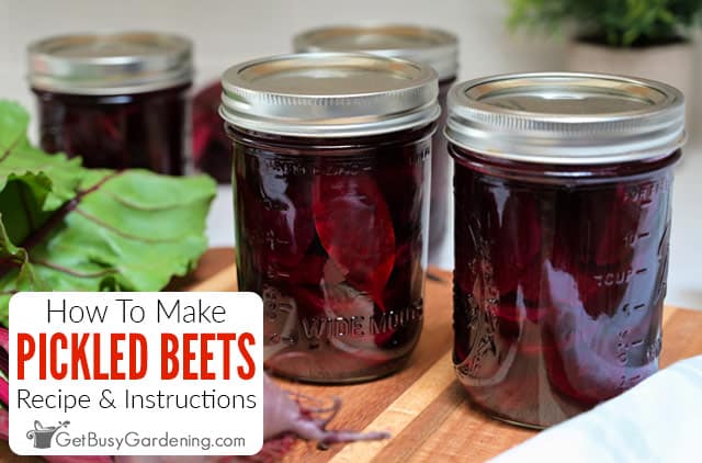 Quick & Easy Refrigerator Pickled Beets Recipe