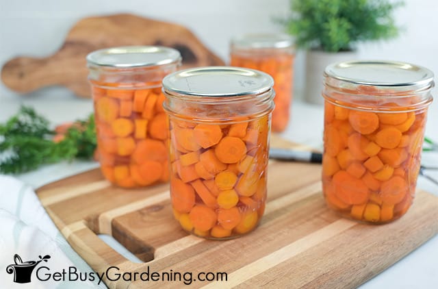 Sealed canned carrots ready for storage