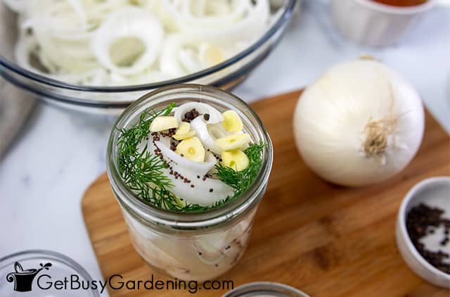 White onions packed in jars for pickling
