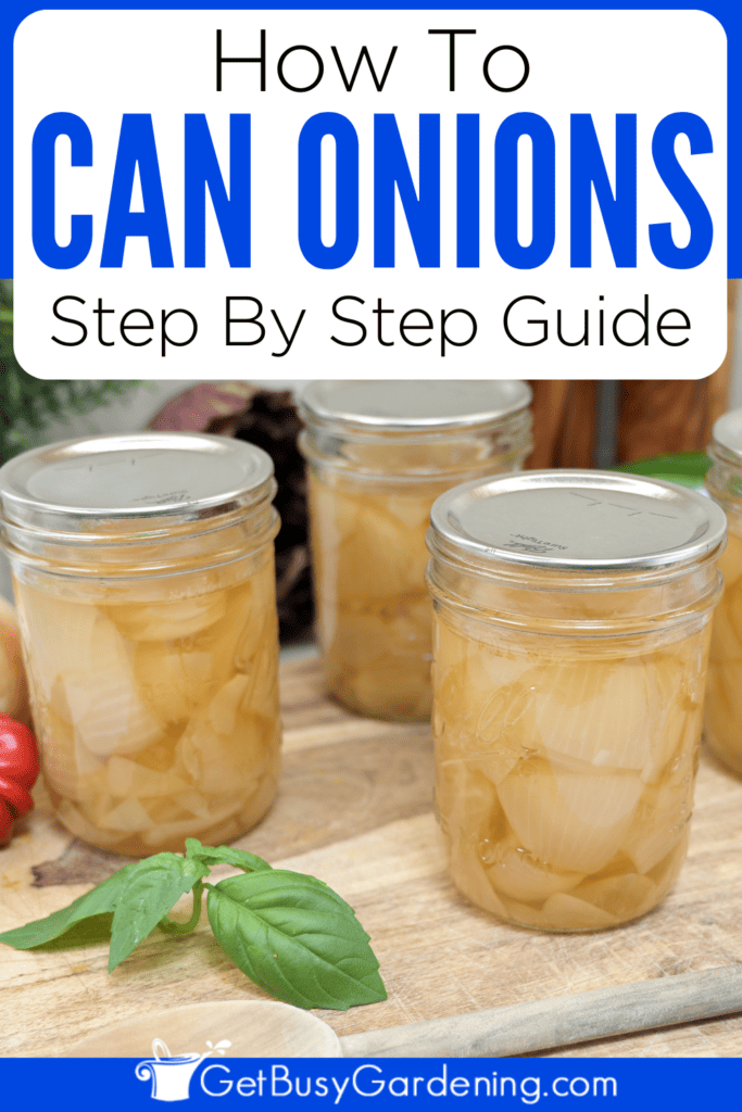 How To Can Onions Step By Step Guide