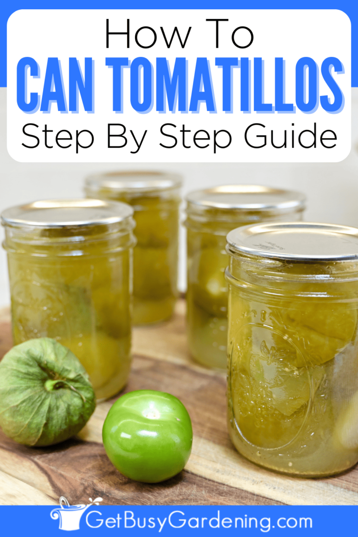 Canning Tomatillos With Or Without A Pressure Canner Get Busy Gardening