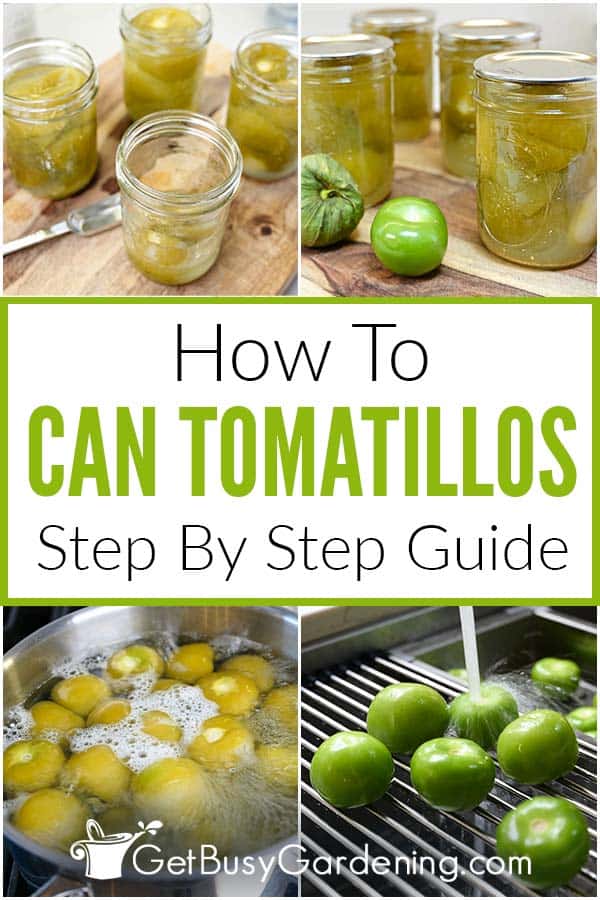 How To Can Tomatillos Step By Step Guide