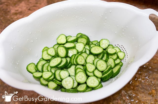 Draining cucumbers after pre pickling